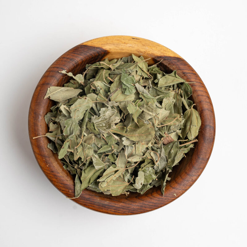 Sidr Leaves