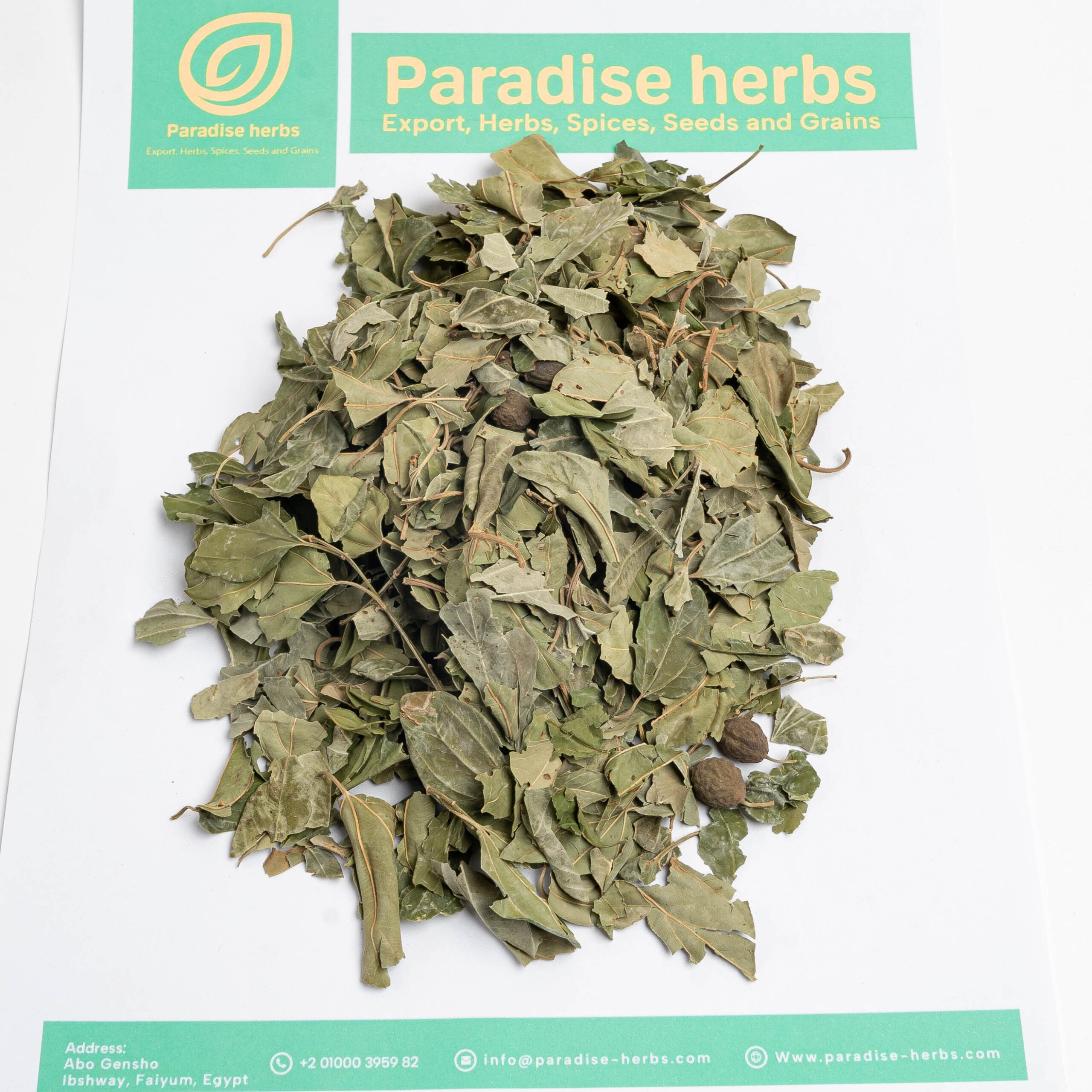 Sidr Leaves - Image 3